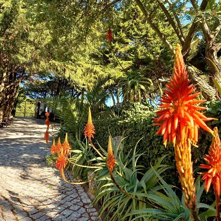 Quinta La Venus De Lisbonne 3*